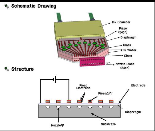 그림 4 Nozzle Plate 제작 Process 의예 Ni plating된 nozzle에최종적으로 Au를 plating하여잉크와의반응성을개선한다.