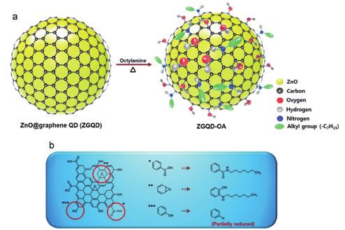 양자점과응용기술 [Fig. 11] (a) Devices fabrication process and characterization. Device structure of the inverted PSCs without the ZGQD-OAs Monolayer.