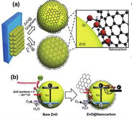 특집 양자점기반응용기술 하는광양극 (photoanode) 으로산화아연 (ZnO) 은친환경인소재로각광받는재료이나, 전해질과의접촉시빛에의한부식이일어나생성된정공이쉽게유실되거나표면에서전자와정공이재결합 (recombination) 되는등전하전달효율이매우좋지못하였다. 또한, 순수한산화아연은표면에노출된불안정한산소원자에의해쉽게광부식이발생한다.