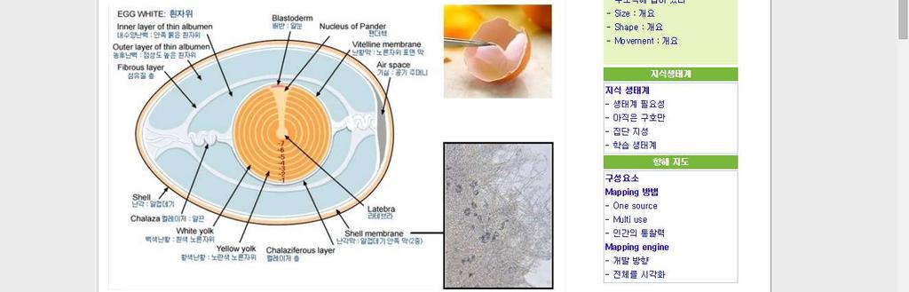 2. 자연모사이해하기 http://seehint.com/hint.asp?md=204&no=13160 계란은간단히우리가흰자라고부르는난백과노른자라고부르는난황그리고이둘을둘러쌓고있는껍질인난각으로구성되어있다.