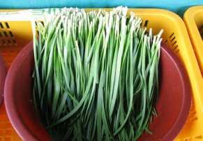 학명 : Allium tuberosum - 분류 : 백합과 - 원산지 : 동아시아 2 기능 -