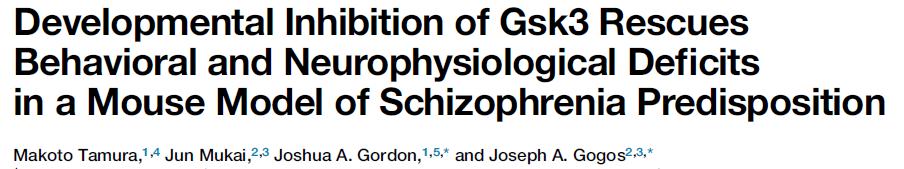 01. 국내외뇌연구학술동향 1. 조현병쥐모델에서 Gsk3 억제를통한행동및신경생리학적장애개선 Neuron 89 1 10, March 2, 2016 조현병의유전적특징들에대한연구는많이진행되고있지만, 새로운치료법은특정위험유전자와핵심표현형사이의역학적인관계증명을요구함. 따라서, 염색체 22q11.