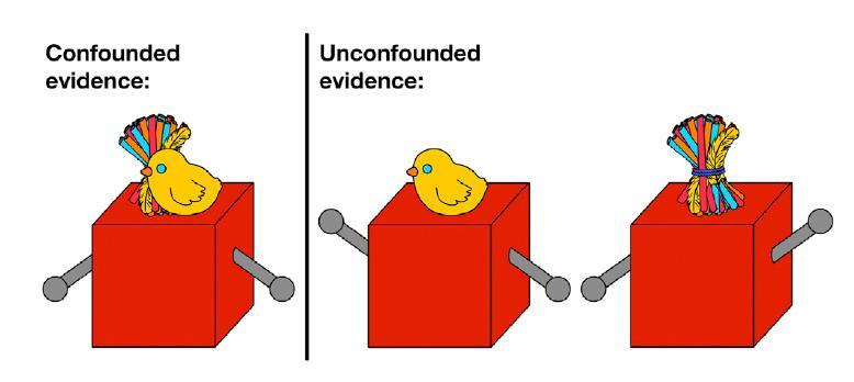 01. 국내외뇌연구학술동향 1. 심리학과신경과학에서의호기심 Curiosity and Attention (A) Example display from Kidd et al. (2012).