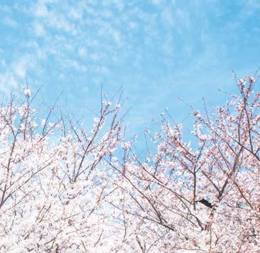 아이 의 성장에 따라 변하 는 육아와 놀이 팁이 매일 업데 이트되어 항 상 챙겨 봅니다. 초보 엄마, 아빠에 꼭 추천합 게 니다.