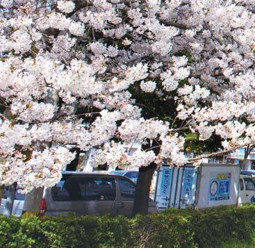 본인 방문할 때 유 면 하 력 물명을 입 있는 곳의 건 알려줘 간(8분 후)을 버스 도착 시 다.