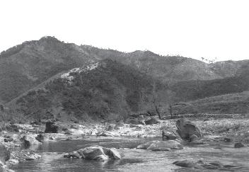 Une partie de la compagnie d appui en route pour les premières lignes. Collection Pere Dès juin 1951, l amorce de pourparlers à Kaesong réduit l intensité des combats.