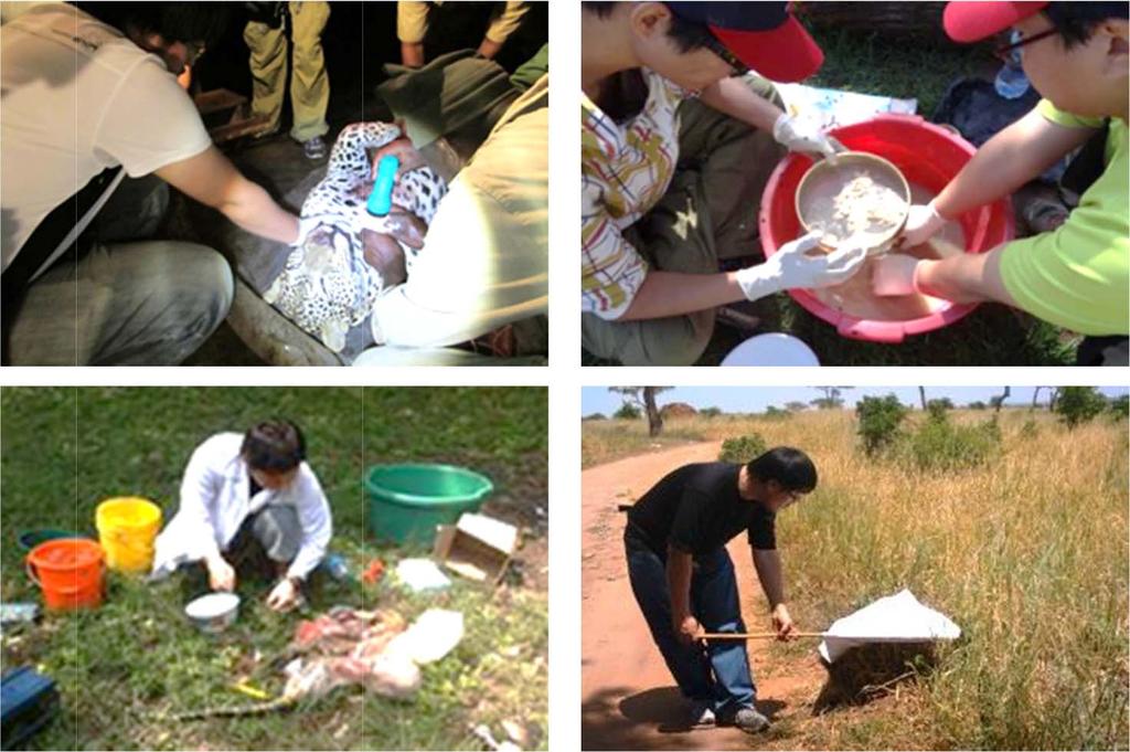 Cooperation on Bioresources between KNRRC and Tanzania Wildlife Research Institute 21 술을교육하고탄자니아현지에소재은행의구축과운영을지원하며,