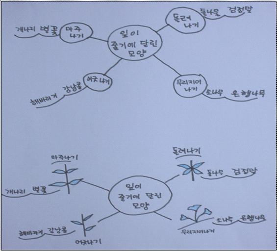 < 학생활동자료 7-2예시 > 마인드맵노트필기지도를그리듯이줄거리를이해하며정리하는방법입니다. 1. 2. 3. 4. < 마인드맵예시 > 잎은줄기에달리는모양이식물에따라다릅니다. 줄기에잎이두장씩서로마주보며나는마주나기잎이있습니다.