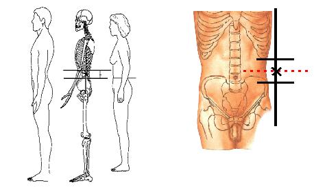 수검자는두꺼운겉옷은벋은상태에서반듯한자세로앉아야하고편안하게측정할수있도록한다. 2 수검자자세 ( 그림 6) - 수검자는반듯한자세로앉아야하고편안하게측정할수있도록한다. - 두꺼운겉옷은벋은상태에서소매가있는경우혈압계의완대 (cuff) 가옷위에닿지않도록어깨까지접어올린다. 옷을접어올린부분이팔을죄는지확인한다.