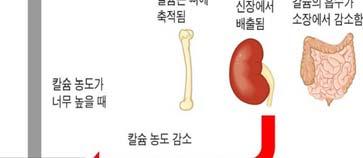 부갑상선호르몬