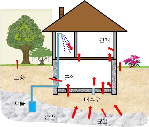 ICRP 간행물 115 라돈과자손핵종에의한폐암위험 Lung