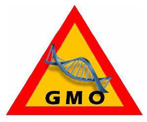 < 학습지 4> GMO 식품마크디자인 - GMO 식품마크디자인을해봅시다. 마크는쉽게이해되어야합니다.