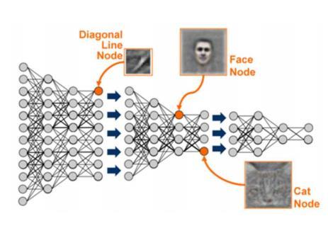 Deep Learning CASE Stanford 대학의 Andrew Ng 교수 + Google 의실험 (2012 년