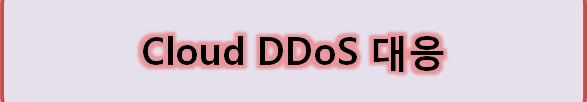 DDoS 공격방어를위한요구사항 대규모 Traffic 소량정밀타격 신규공격 Tool 공격의전문화 정확한정책설정및대규모트래픽처리기술 과다정상사용자및비정상트래픽의정확한판단 DDoS 공격방어 세션제약없이정상적인트래픽을검증할수있는기술 새로운공격분석대응및 DDoS