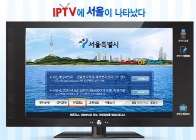On-Line business 구축및운영 2009 서울시 IPTV 마이크로사이트구축