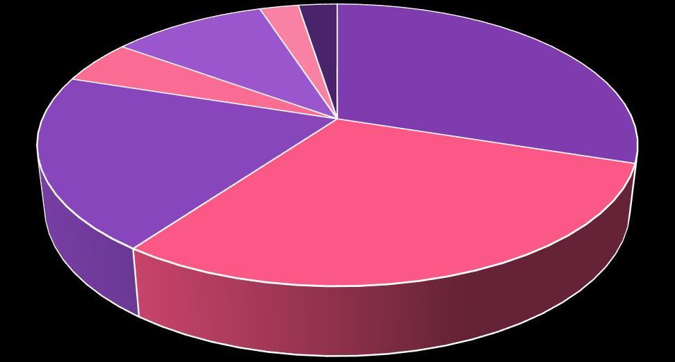 12. Coin Sale Structure COIN DISTRIBUTION All Location Total Release Quantity 10 billion 지분투자자 개발자 기여자 회사보유 총발행량 : 10,000,000,000 개 영업지원 5% 10% 2.5% 2.