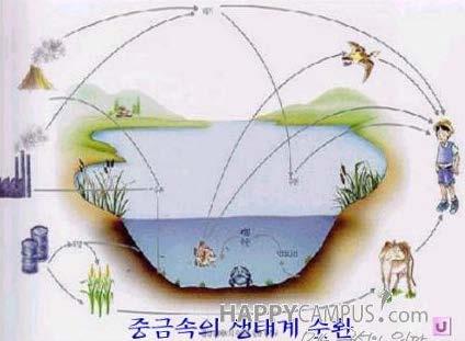 4. 양식장에서의사육용수의오염 1) 수온의상승 (1) 수온의상승은수생동물의빠른성장을기대할수있다는점에서유리하다고할수있으나반드시동물의종류에따른일정한계온도이하이어야한다. (2) 수온은오염물질의독성을증감한다. 대부분의유독물질은높은수온에서가용농도가높아지므로더욱유독해진다.