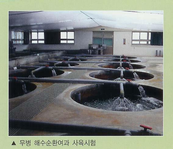 1) 순환여과식사육 (recirculating culture system) 1. 용수를끊임없이순환시켜수중용존산소량을유지시키는사육방식 2.