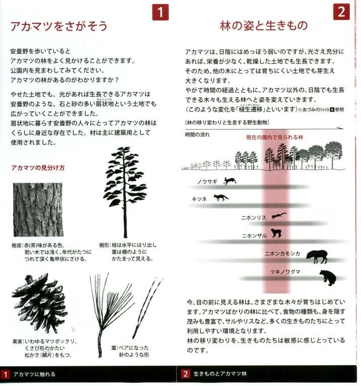 Ⅳ. 국내외사례연구 1.