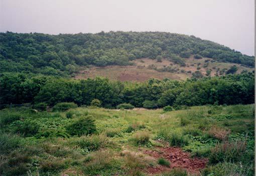 제주 2 의지형경관 (2003) 조사자 : 전영권소속 : 대구가톨릭대학교 NO. 59 소권역제주 (2)11-1-2 조사일자도엽명 1:25,000 귀일지형도평가단위 A.