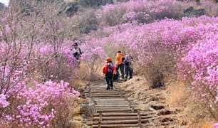 여수해양레일바이크여수해양레일바이크는만성리해안 3.5 km구간에서운행된다.