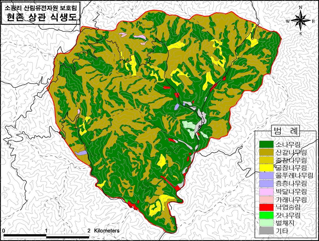경북 금강소나무의 생태적 가치와 보전방안