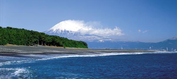특히차귤와사비딸기등은전국에서도톱크라스의생산 시즈오카에서는후지산이아름답게볼수있기에미호와