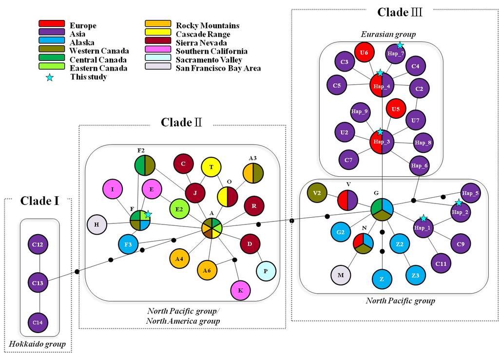 그림 10. Yu et al.(2012) 의미토콘드리아 DNA의 Cyt b 영역의 Haplotype-network 를수정하여본연구에서관찰된유전자형을별표로제시 [ 원과원의사이는 1bp의염기서열변이를나타냄 ] [ 모든샘플정보는 Yu et al., (2012), Aubry et al.(2009) 와 Inoue et al.