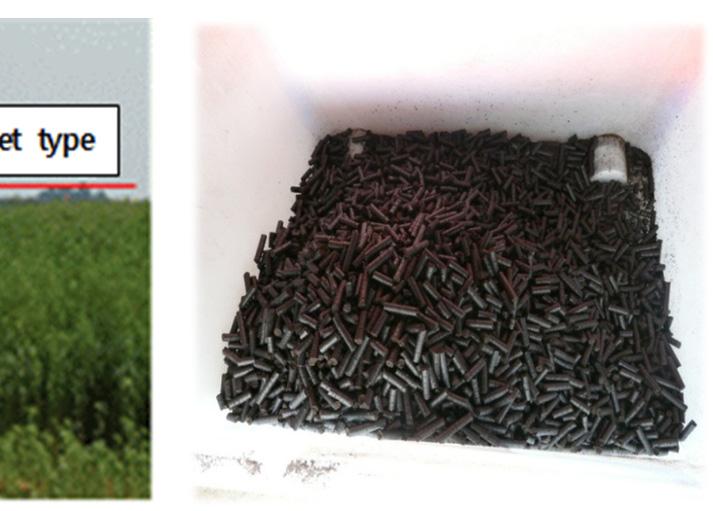 C : The shape of the pellet type manure compost 록하였는데이는비투입처리에비해서는 122% 증가한수량이며비간척일반지에서화학비료를투입한처리에비해서도 11.4% 높은수치여서상당히높은증수효과를보이는것을확인할수있었다 (Fig. 3).