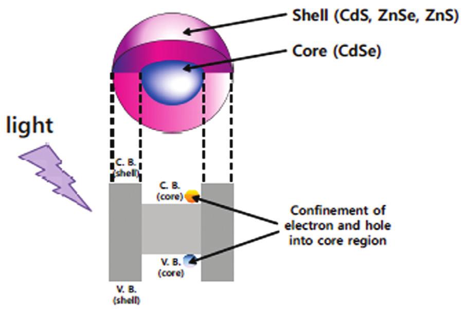 표면결함이많이존재하기때문에코어표면에거의동일한결정구조를가짐으로써격자적합성이우수하고밴드갭이큰반도체물질을화학적인방법으로성장시켜코어표면의표면결함을제거할수있다. (Fig. 3) Core/ shell 구조는양자점이정제과정이나공정과정에서주변의산소와수분에쉽게산화되는것을보호하는역할도한다.