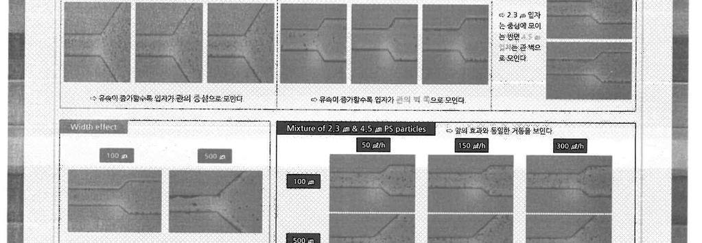 목차정도사본추가