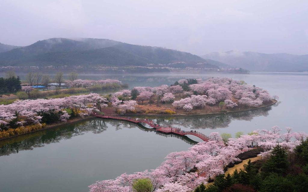 관광 도시전체가하나의박물관인경주, 수많은역사유적지와관광지중경주를방문하면꼭가봐야하는 20 개장소를소개합니다. 신라왕의시조신화부터신라인의시대를앞서간과학기술과예술성, 신라문화속에서꽃핀조선유학문화의흔적을찾을수있는유적지, 신라의문화유산을현대적으로재해석한관광지그리고경주의자연을오감으로느낄수있는산, 들, 바다를추천합니다.