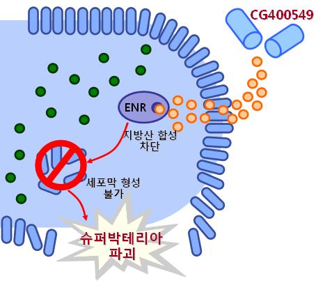 3. CG400549 : 새로운화학구조의 First-in-class 항생제 ENR 이라는신규항생제표적단백질에선택적으로작용 항생제에사용된적이없는신규화학구조를가진 First-in-class