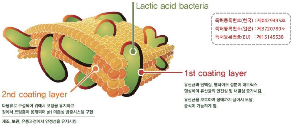 03 올해의기술혁신상수상 (Frost&Sullivan) 2010.05 모범중소기업인수상 ( 지식경제부장관상 ) 2010.09 히든챔피언최종선정 ( 한국수출입은행 ) B2B 매출, 66.7% 2010.