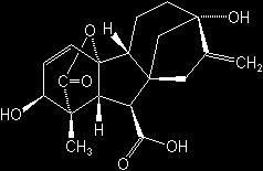 gibberellic acid ㅇ생리작용 ; 세포신장과세포분열을촉진한다. 일반적으로줄기의신장을촉진한다. 유전적으로줄기가짧은식물도길게하는기능이있다. ㅇ사용효과 ; 지베레린은줄기나잎의생장뿐만아니라종자의발아와꽃눈형성에도관여한다. 시금치양배추등에서꽃눈분화를촉진하여꽃이피게한다. 발아를촉진하기도한다. 저장중인감자에처리하면눈에싹이튼다.