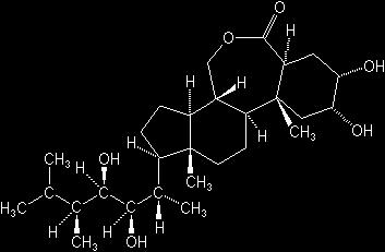 6) 브라시노라이드 브라시노라이드 (brassinolide) 는 1979 년미국에서유채화분으로부터처음추출했고, 1980 년일본에서처음합성되었고, 1988 년중국에서대량추출되기시작한물질이다. 콩, 벼등에도함유되어있으며, brassinosteroids 중에서가장활성이높은물질이다.