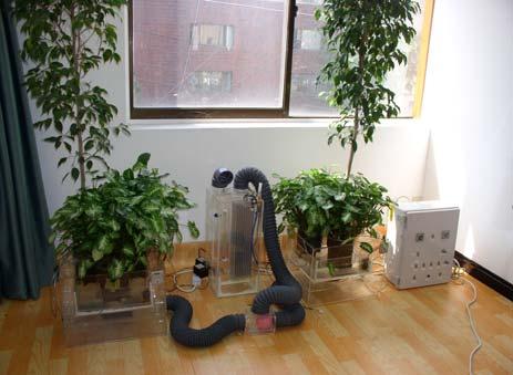 시스템이작동되도록하였다 (Fig. 1). Fig. 1. A air purification system using plant/medium/soil-microorganism used in this experiment.