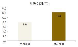 를공급하면 주당착과수 개확보가가능함 아떼모야상자재배시수고및착과수비교 전남 3.