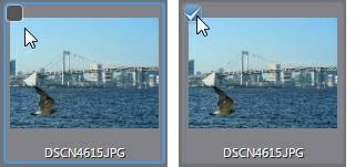 CyberLink PhotoD irector 가져올 컴퓨터/이동식 장치에서 폴더를 찾아서 선택한 다음 폴더 선택을 클릭 하십시오. 선택된 폴더에 있는 모든 사진의 섬네일이 사진 가져오기 창에 표시 됩니다. 카메라에서: 디지털 카메라 또는 카드 리더에서 사진을 직접 가져오려면 선택하 십시오.