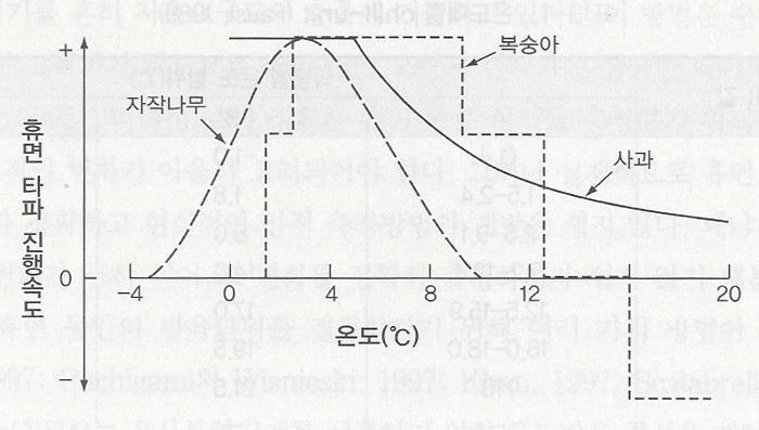 휴면타파와온도 Chapter 3 저온요구 유효온도낙엽과수의유효온도는 0~7.