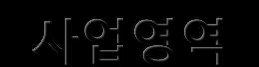 12 사업영역 _ 출판 일본어판 한국어판 중국어판 - 데이터아키텍처솔루션 I 전문서편찬,