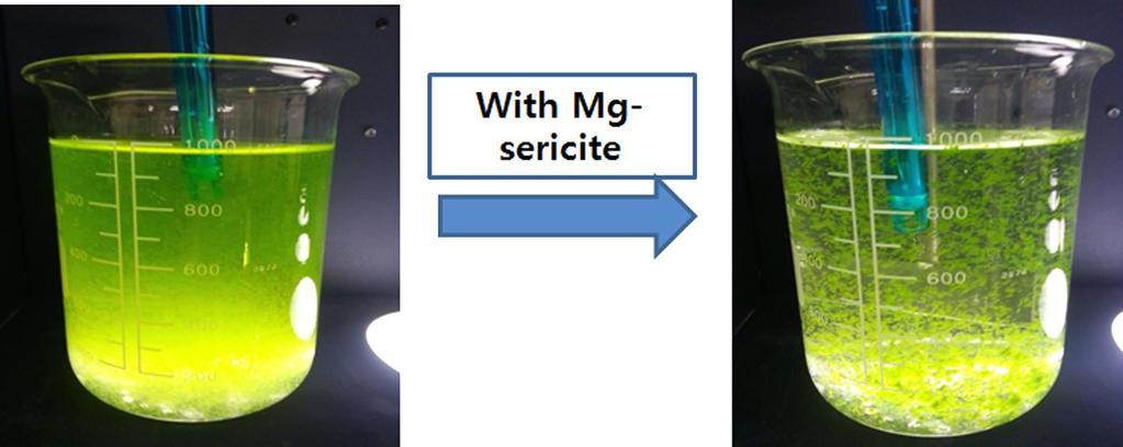 628 최희정 유되어있는응집제를사용하여미세조류를수확할경우 최고의수확률을위해서는 ph 5-6 이최적이며, Vandamme et al. (2013) 은 Mg oxide 가침전을일으키는제로하점은 ph 4.0 이라보고하였다. 이는본연구결과와일치하는것 이다. 표면전하의변화는입자들사이의상호작용에영 향을주기때문에응집효율에영향을미친다.