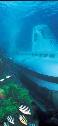 마라도잠수함 / 서귀포잠수함우도잠수함 / 해적잠수함 잠수함지아호를타고해저 10m 의다양한해조류들과 30m 의맨드라미산호초군락을감상할수있다.