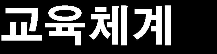 3 학년 4 학년및대학원 전문화교육이론확립 SW 전문교육