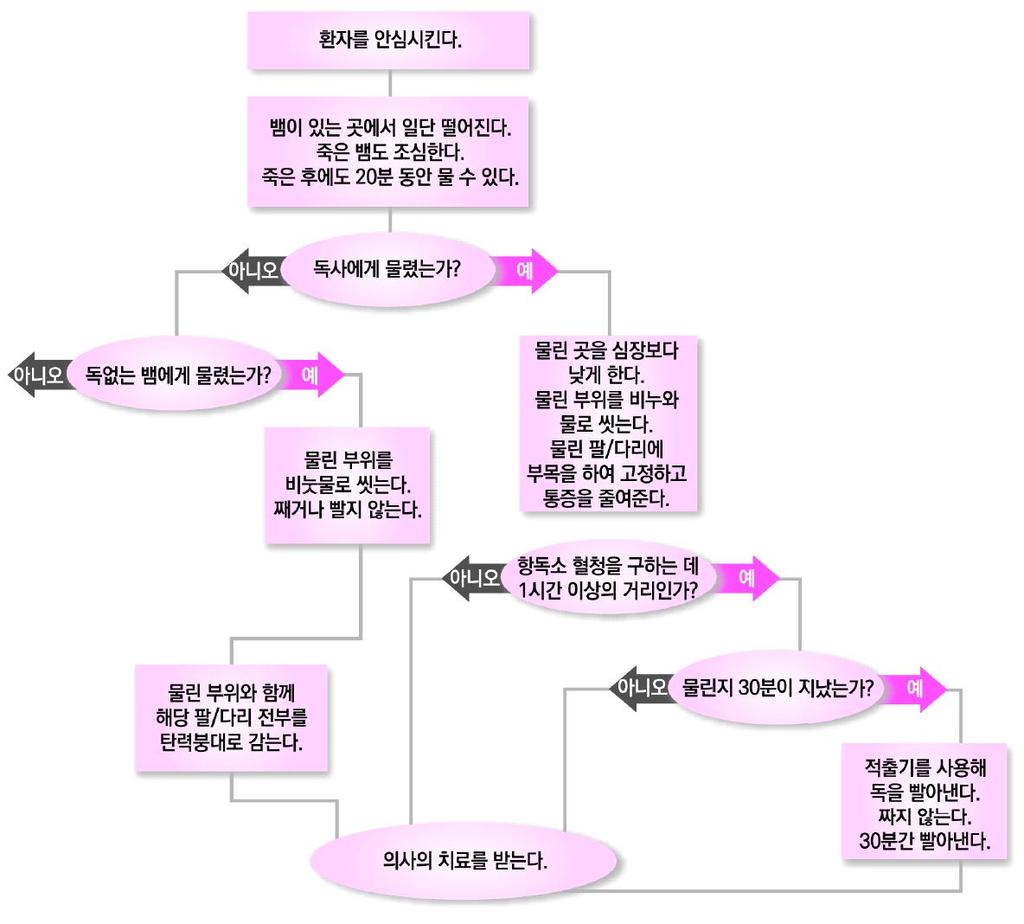 6) 독사에물린경우조치절차 Ⅳ.