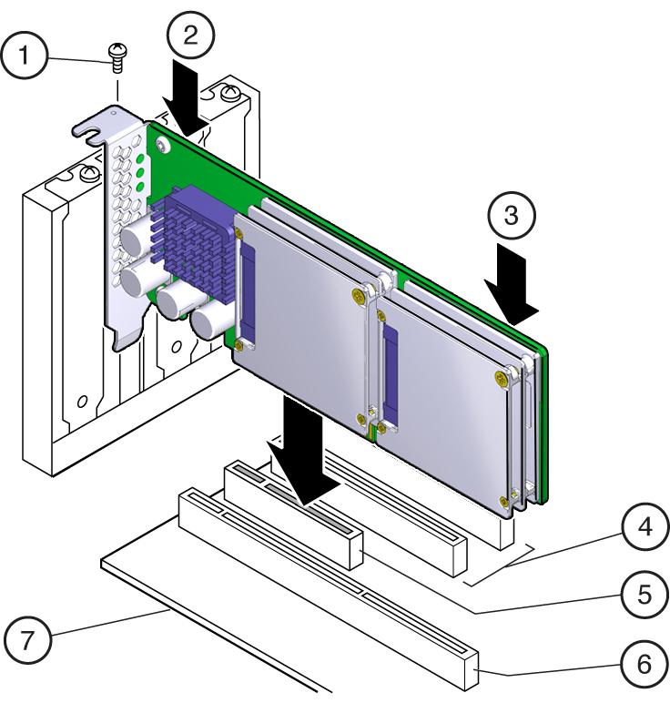 그림 3.1. Sun Flash Accelerator F40 PCIe Card 설치 그림 범례 1 2 3 4 5 6 7 브래킷 나사 여기를 누름 여기를 누름 32비트 슬롯(3.3V 전용) PCI Express x8 슬롯 64비트 슬롯(3.3V 전용) 마더보드 참고 서버 섀시에 카드 라이서(riser) 또는 다른 구성이 포함되어 있을 수 있습니다.