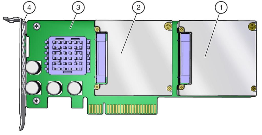 카드 개요 Sun Flash Accelerator F40 PCIe Card는 운영 체제에서 Fusion-MPT 인터페이스를 통해 최소 사용자 구성이 필요한 4개의 드라이브가 있는 플래시 카드로 표시됩니다. 이 카드는 SAS 컨트롤러 를 사용하여 작동하는데, 이 카드의 내부 프로세서에서 드라이브 펌웨어가 실행됩니다.