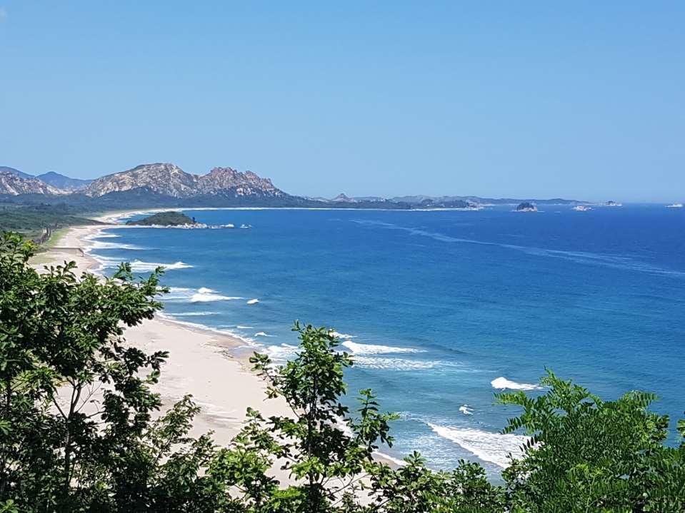 반도체산업소식 -