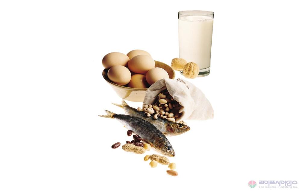 3. 식품단백질 - 달걀, 고기, 생선,