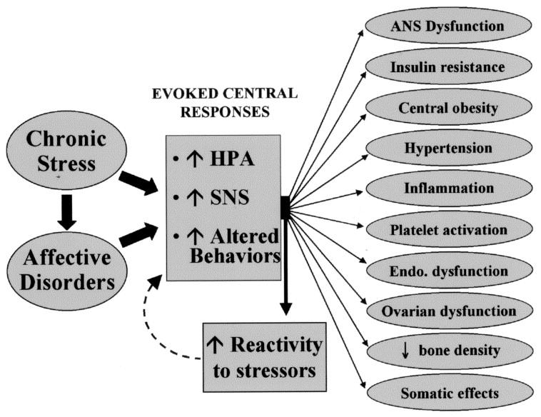미흡하다. 셋째, 스트레스는인슐린저항성을증가시키는것으로알려져있다[Keltikangas- Jarvinen L, 1996, Capes SE 2000]. 마지막으로, 스트레스는건강하지못한생활습관을유발한다. 스트레스가심혈관질환에미치는영향 을직접적경로와간접적경로로분류하곤하는데위 3가지기전은직접적경로이고마지막기전을간 접적경로로볼수있다.